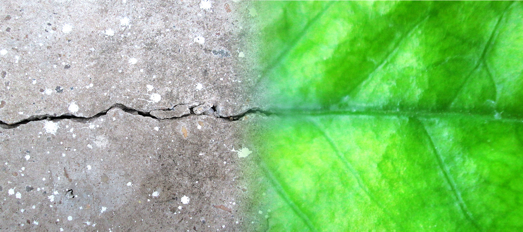 AMDE, dépollution environnement, Gironde